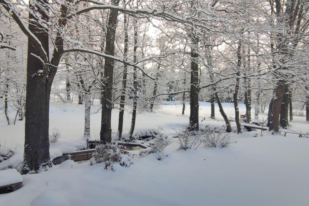 Chatky U Potoka Chatka N3 Olesnice v Orlickych horach Экстерьер фото