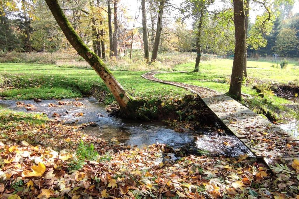 Chatky U Potoka Chatka N3 Olesnice v Orlickych horach Экстерьер фото